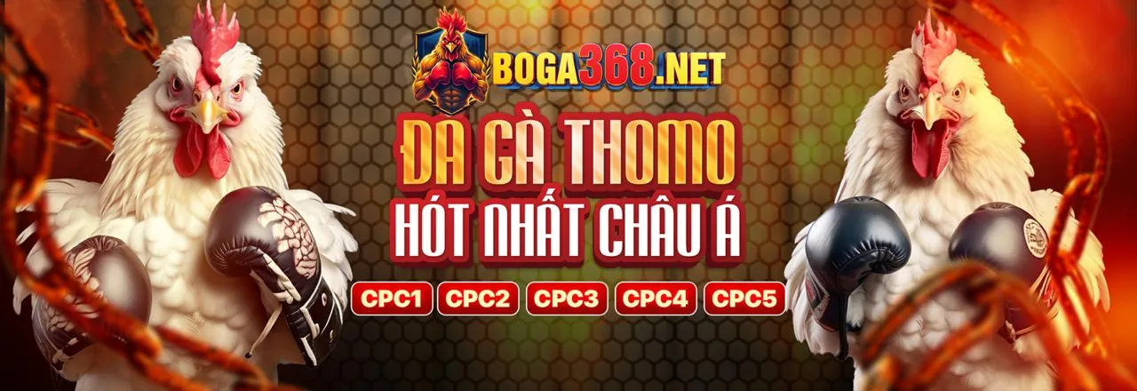 Đá Gà Trực Tuyến Hấp Dẫn tại v788t